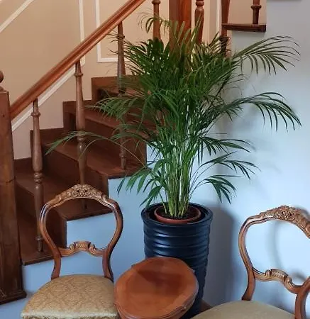 Holender House 6 Plaz W Zasiegu * Choczewo