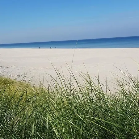 Holender House 6 Plaz W Zasiegu