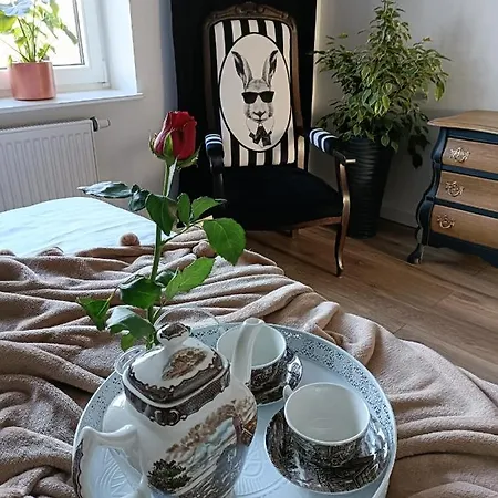 Holender House 6 Plaz W Zasiegu * Choczewo