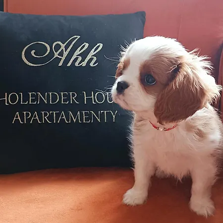 Holender House 6 Plaz W Zasiegu アパート