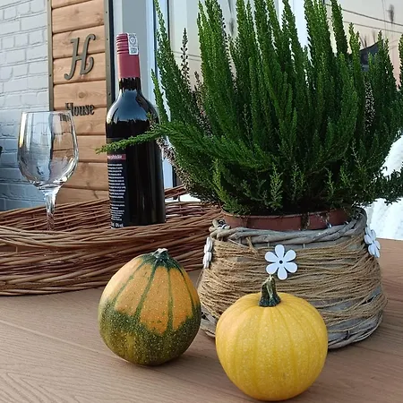 Holender House 6 Plaz W Zasiegu アパート *