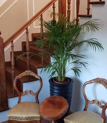 Holender House 6 Plaz W Zasiegu * Choczewo