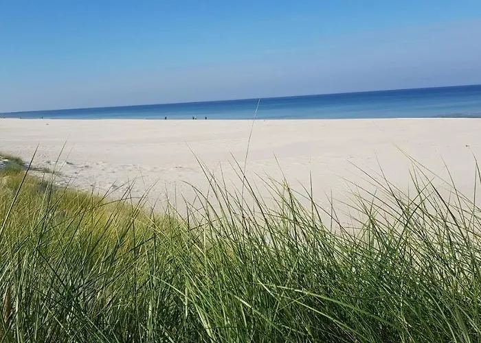 Holender House 6 Plaz W Zasiegu