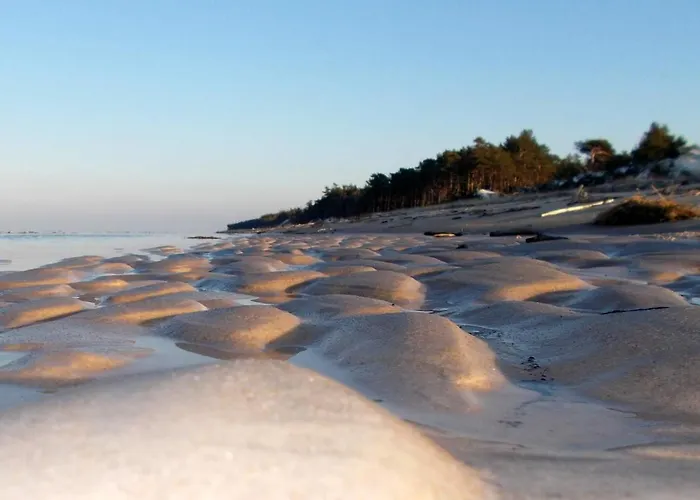 Lägenhet Holender House 6 Plaz W Zasiegu *