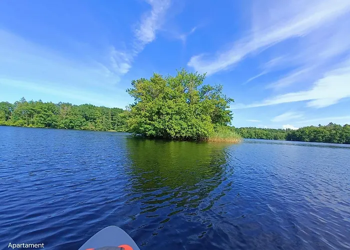 Holender House 6 Plaz W Zasiegu Lägenhet