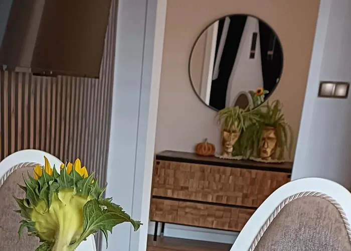 Holender House 6 Plaz W Zasiegu